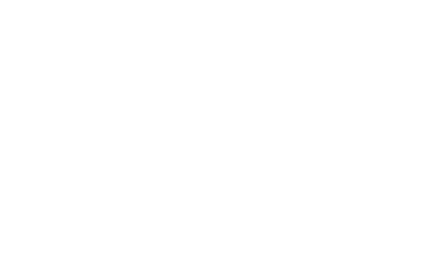 Decomark - Basketballbane 28000x15000, Kat 33