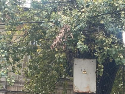 Проблемы с электрополями в историческом центре Таганрога