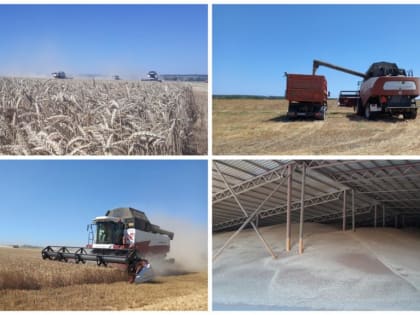 «Каждый день – на вес золота!»