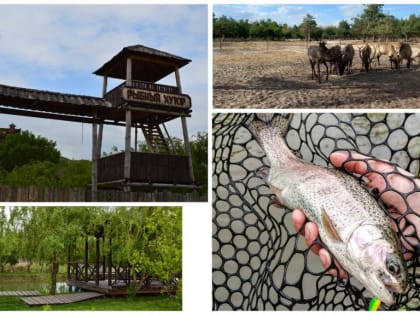 Развитие агротуризма в Усть-Донецком районе