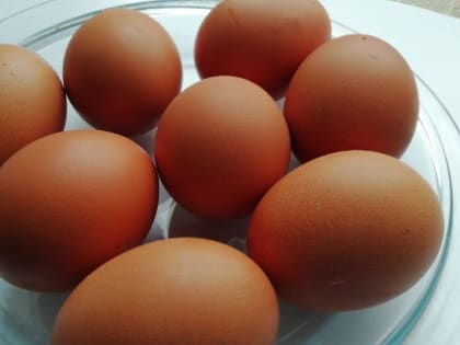 Польза яиц: важный источник белка в рационе