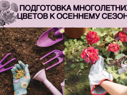 Подготовка многолетних цветов к осеннему сезону в Ростове-на-Дону