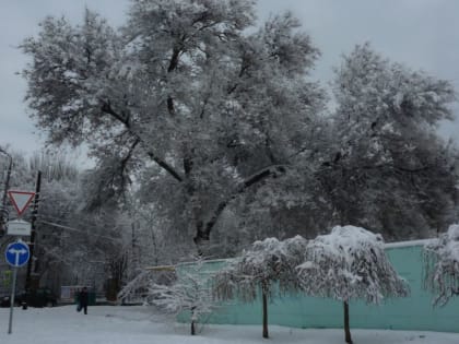 Погода в Таганроге 29 января: облачно, днем 0°…-1°
