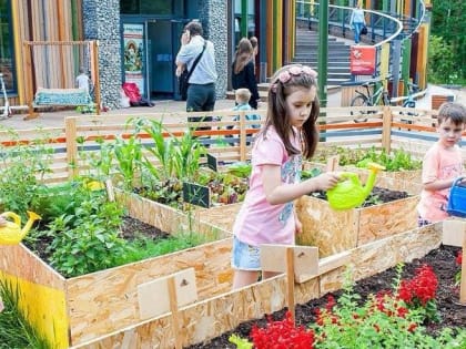 Ошибки садоводов при осенней обработке почвы