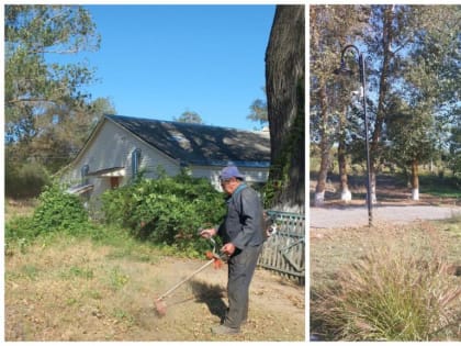 Усилить работу по уничтожению очагов дикорастущей конопли и амброзии!