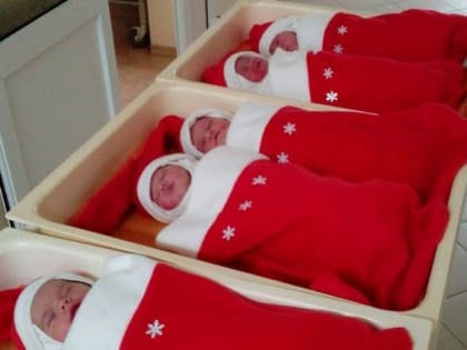 Рождаемость и изменения в семейных отношениях в Волгодонске