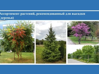 Обсуждение новых инициатив в Ростове-на-Дону