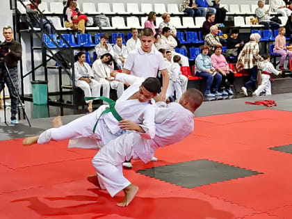 Федерация самбо и дзюдо Волгодонска провела предновогодний турнир по дзюдо
