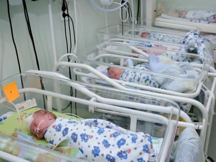 В Волгодонске в Год семьи выросла рождаемость