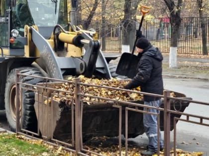 Обзор текущей ситуации в городе