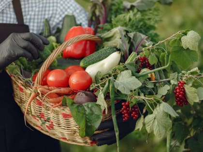 Добрый огород: соцработник из Таганрога — в числе лучших в области