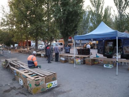 Нелегальная торговля в Волгодонске: проблемы и меры борьбы