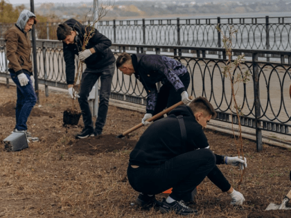 Понимание комплексных кадастровых работ