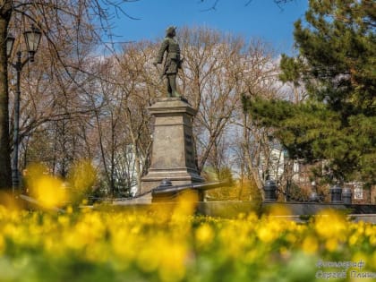 В Таганроге продолжается голосование: «Сквер Петра I» догоняет «Школьный»