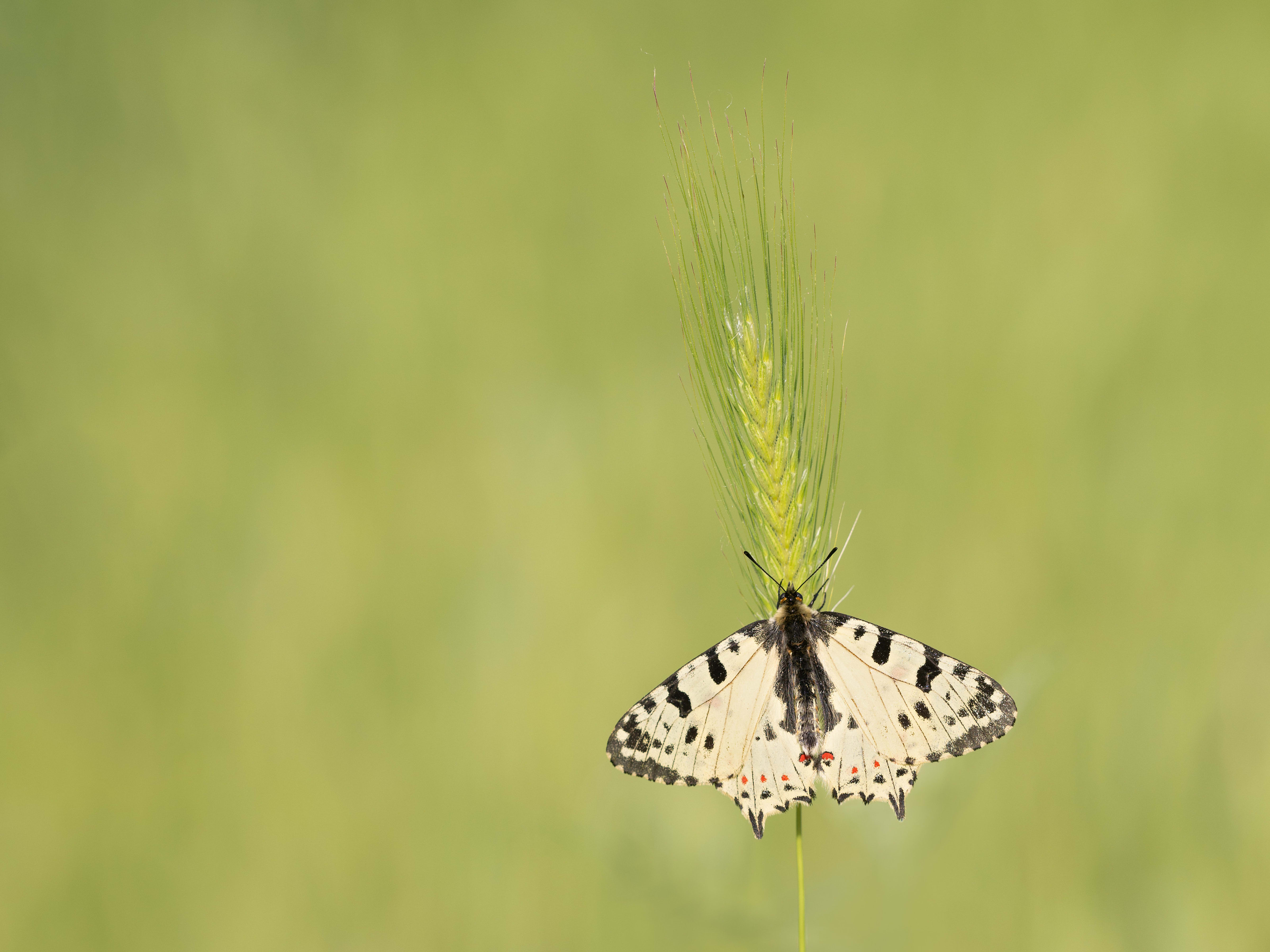 Bulgaria 2022: Day 1 - Exploring the river 'Byala Reka' | Alex Perry ...