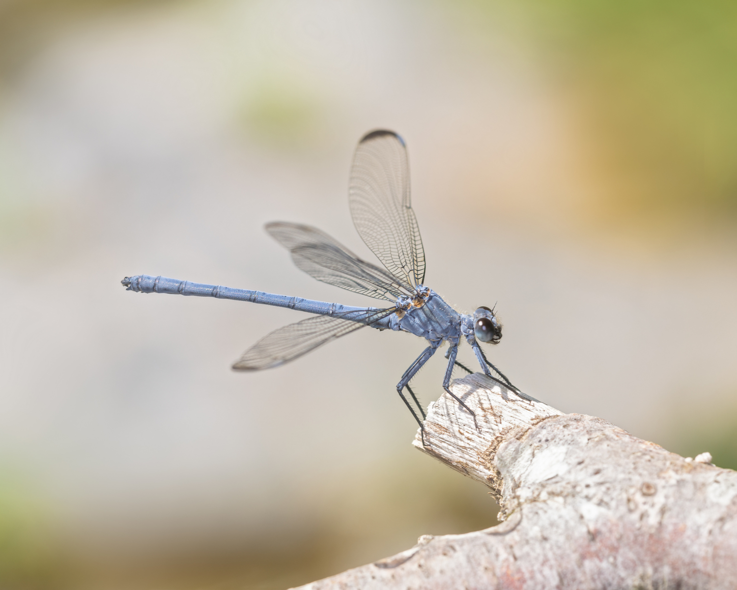 Bulgaria 2022: Day 1 - Exploring the river 'Byala Reka'