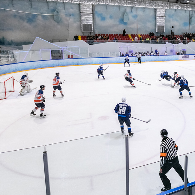 Professional Ice Skating Rinks