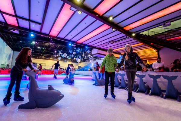 Indoor Ice Skating Rinks | Industrial Frigo Ice USA | Ice & Snow Rides Manufacturer