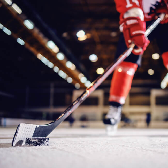 Professional Ice Skating Rinks | Industrial Frigo Ice USA | Ice & Snow Rides Manufacturer