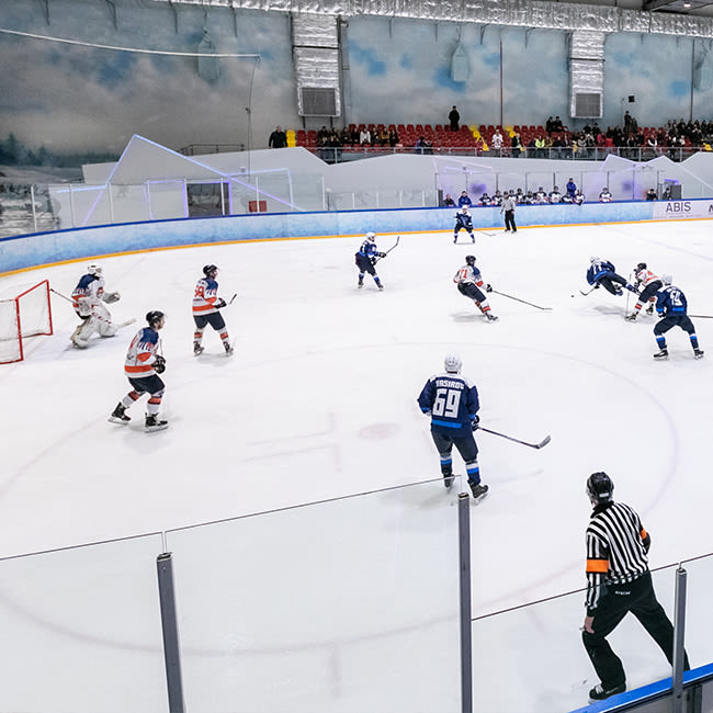 Professional Ice Skating Rinks