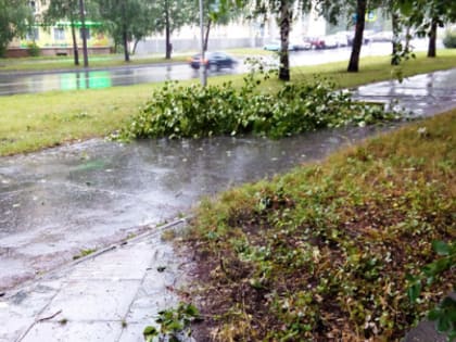 Ночью в Челябинской области похолодает до 7 градусов