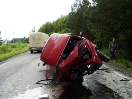 На Южном Урале автоледи погибла в ДТП на встречке