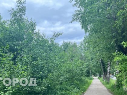 Долгожданное потепление для жителей принесет июль в Магнитогорск