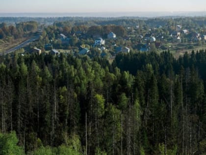 Информационное сообщение