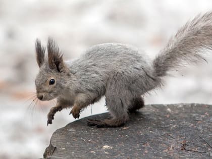 22 марта ожидаются следующие события – Челябинск
