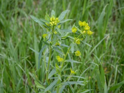 В Магнитогорске в выходные будет облачно, но тепло