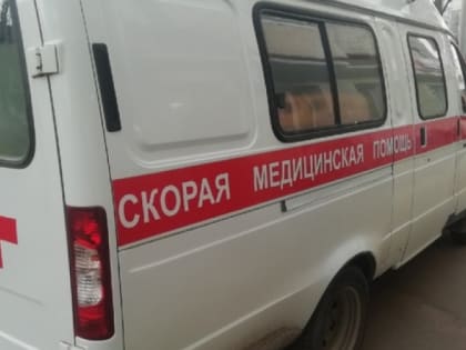 В Челябинской области объявлен карантин из-за бешенства: поселок Метлино под Озерском закрыт на 179 дней