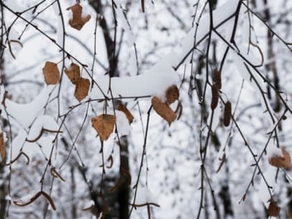 Неожиданные изменения погоды в Магнитогорске
