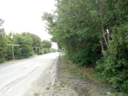 Кустарники «причесали»