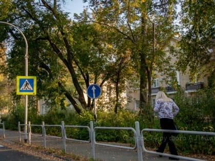 Проблемы организации дорожных знаков в нашем городе