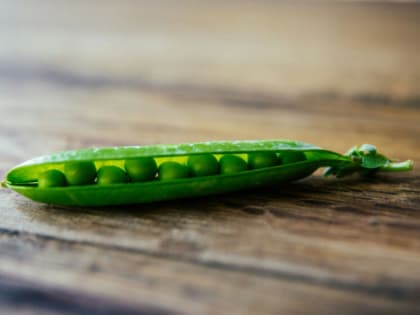 О волшебных свойствах гороха рассказала специалист Роспотребнадзора