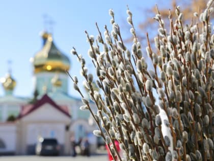 В преддверии Вербного воскресенья Челябинск украсили пушистыми веточками