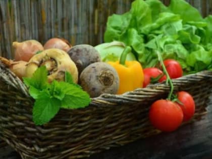 Дерматовенеролог рассказала челябинцам, какие продукты полезны для кожи