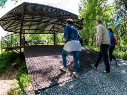 В Челябинской области клещи покусали более 1200 жителей