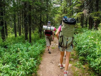 В Челябинской области 20 человек заболели клещевым энцефалитом