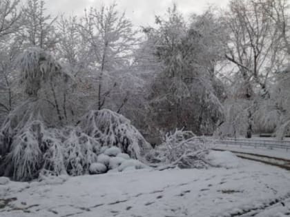 Сегодня снег вновь заметет Челябинскую область