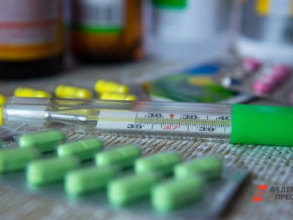 В Челябинской области четыре школы перевели на дистант из-за заболеваемости ОРВИ