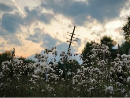 Настоящее бабье лето в Челябинской области