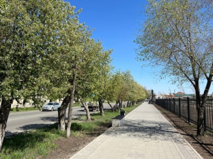 Синоптики пообещали южноуральцам жару до +32 градусов