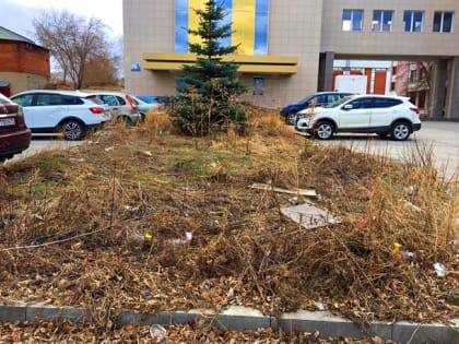 Читатели пишут №1587