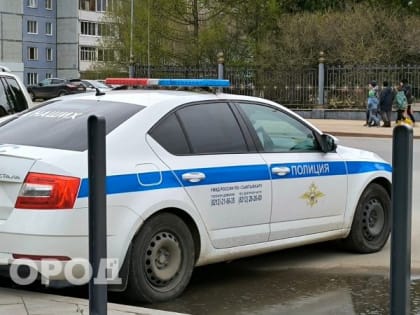 Житель Челябинской области незаконно срубил деревьев почти на 150 тысяч рублей