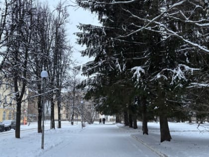 Антициклон наступает сильнее: в Челябинской области ожидаются февральские морозы до -34 градусов