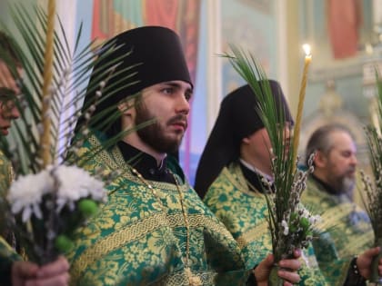 Девятого апреля у православных - Вербное воскресенье