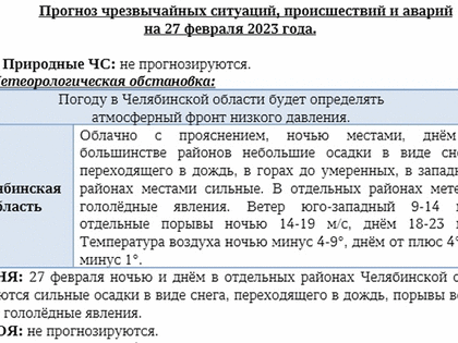 МЧС предупредило о снегопаде и сильном ветре 27 февраля в Челябинской области