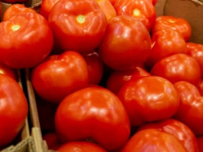 Южноуральцам рассказали, почему хранение овощей и фруктов в холодильнике может быть опасным