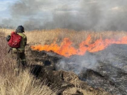 Чем жила Челябинская область: главные новости недели с 24 по 30 апреля